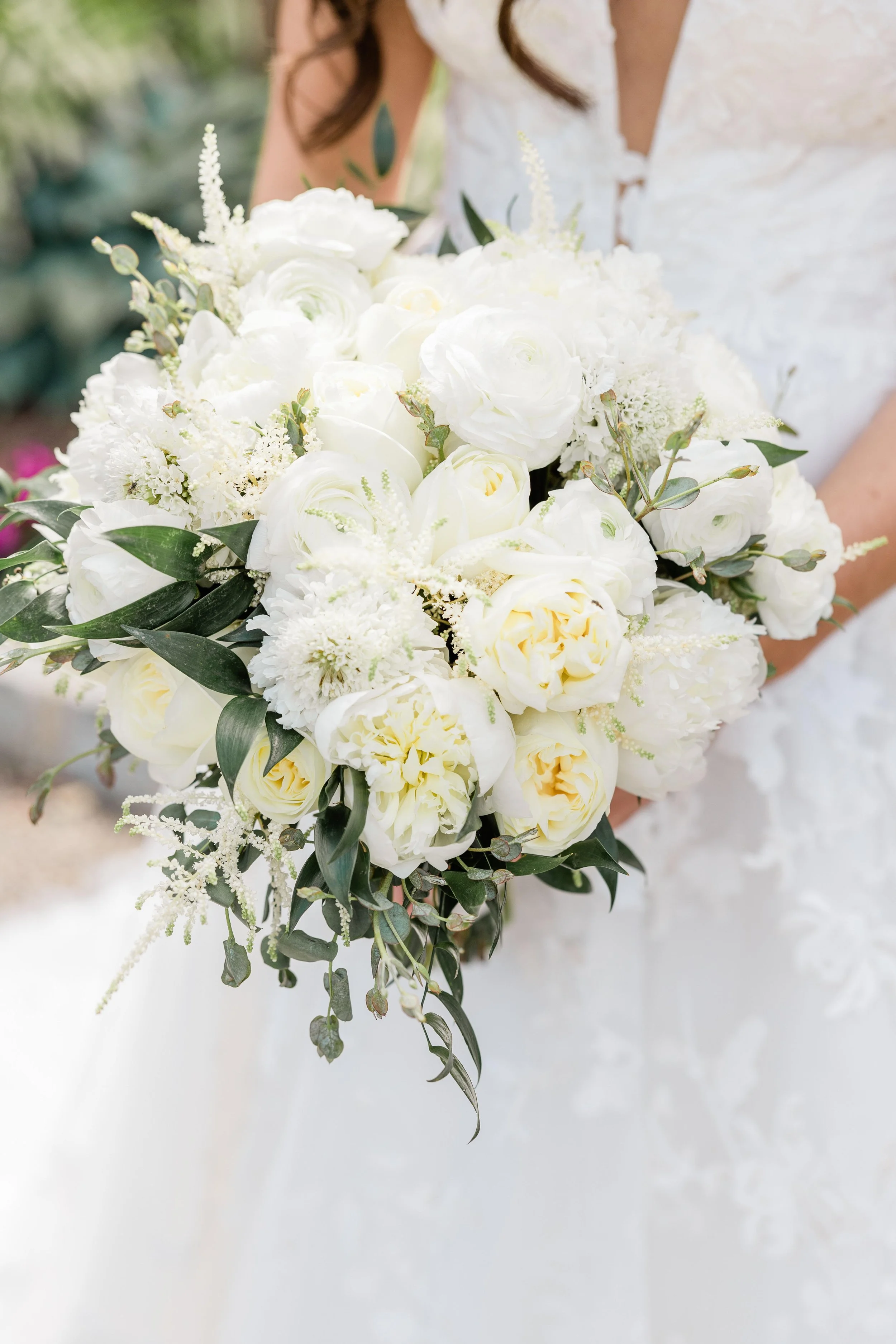 FLOWERS fanbook 春 夏 秋 冬 / Innocent Grey Amazon.co.jp: FLOWERS Le volume sur hiver official fanbook